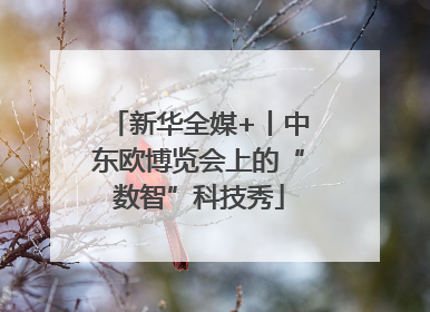 新华全媒+丨中东欧博览会上的“数智”科技秀