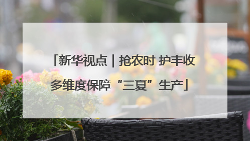 新华视点｜抢农时 护丰收 多维度保障“三夏”生产