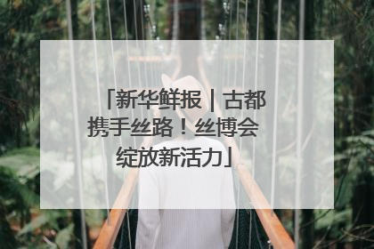 新华鲜报｜古都携手丝路！丝博会绽放新活力