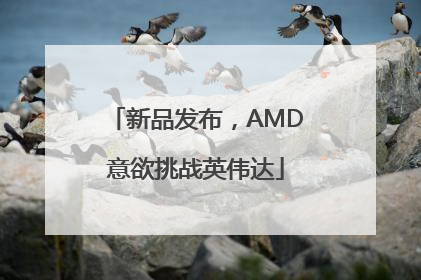 新品发布，AMD意欲挑战英伟达