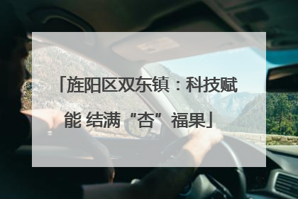 旌阳区双东镇：科技赋能 结满“杏”福果