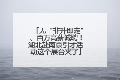 无“非升即走”、百万高薪诚聘！湖北赴南京引才活动这个展台火了