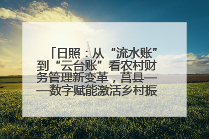 日照：从“流水账”到“云台账”看农村财务管理新变革，莒县——数字赋能激活乡村振兴“一池春水”