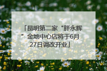 昆明第二家“胖永辉”金地中心店将于6月27日调改开业