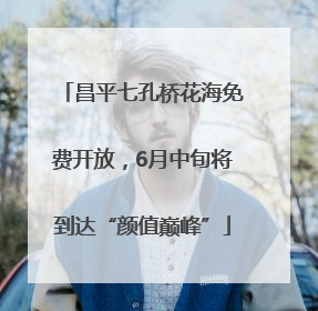 昌平七孔桥花海免费开放，6月中旬将到达“颜值巅峰”