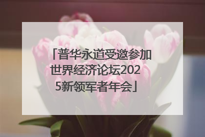 普华永道受邀参加世界经济论坛2025新领军者年会