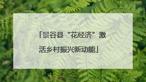 景谷县“花经济”激活乡村振兴新动能