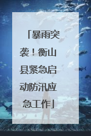 暴雨突袭！衡山县紧急启动防汛应急工作