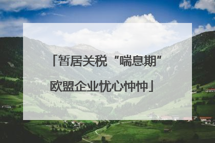 暂居关税“喘息期” 欧盟企业忧心忡忡
