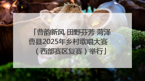 曹韵新风 田野芬芳 菏泽曹县2025年乡村歌唱大赛（西部赛区复赛）举行
