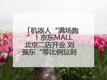 机器人“满场跑”！京东MALL北京二店开业 刘强东“等比例复刻”能否带火线下“618”？