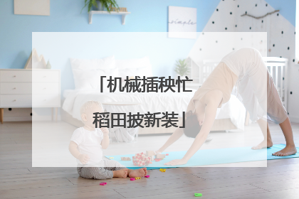 机械插秧忙 稻田披新装