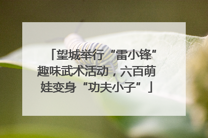 望城举行“雷小锋”趣味武术活动，六百萌娃变身“功夫小子”
