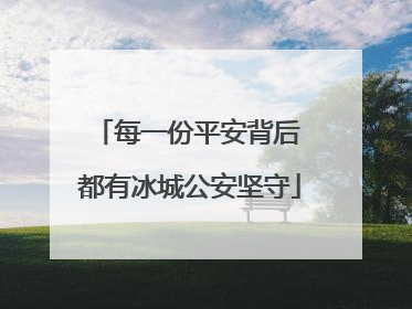 每一份平安背后 都有冰城公安坚守