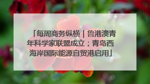 每周商务纵横｜鲁港澳青年科学家联盟成立；青岛西海岸国际能源自贸港启用