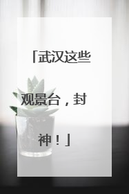 武汉这些观景台，封神！