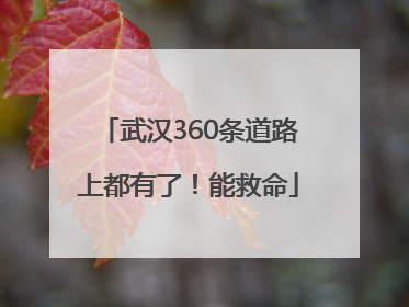 武汉360条道路上都有了！能救命