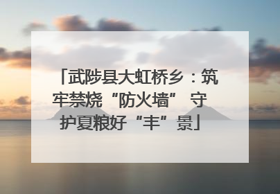武陟县大虹桥乡：筑牢禁烧“防火墙” 守护夏粮好“丰”景