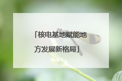 核电基地赋能地方发展新格局