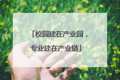校园建在产业园，专业建在产业链