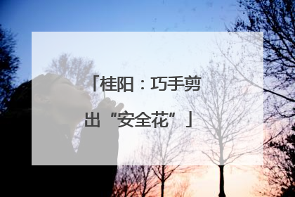 桂阳：巧手剪出“安全花”