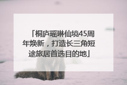 桐庐瑶琳仙境45周年焕新，打造长三角短途旅居首选目的地