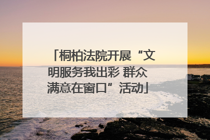 桐柏法院开展“文明服务我出彩 群众满意在窗口”活动
