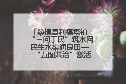 桑植县利福塔镇：“三问于民”筑水网 民生水渠润良田——“五图共治”激活基层治理新动能