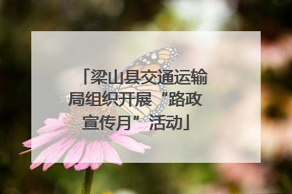 梁山县交通运输局组织开展“路政宣传月”活动