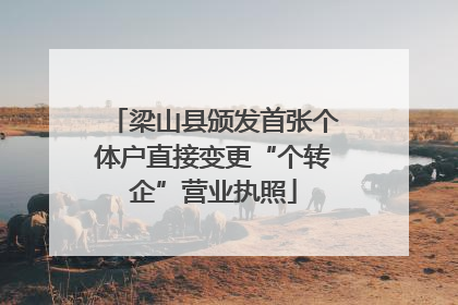 梁山县颁发首张个体户直接变更“个转企”营业执照