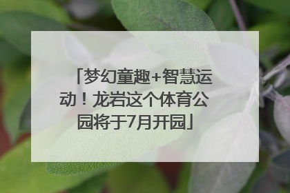 梦幻童趣+智慧运动！龙岩这个体育公园将于7月开园