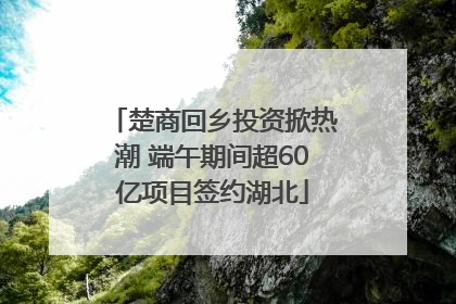楚商回乡投资掀热潮 端午期间超60亿项目签约湖北