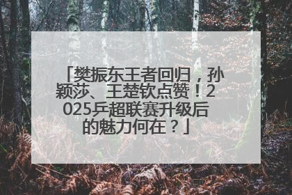 樊振东王者回归，孙颖莎、王楚钦点赞！2025乒超联赛升级后的魅力何在？