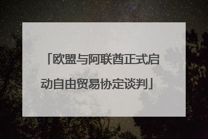 欧盟与阿联酋正式启动自由贸易协定谈判