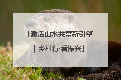 激活山水共富新引擎｜乡村行·看振兴
