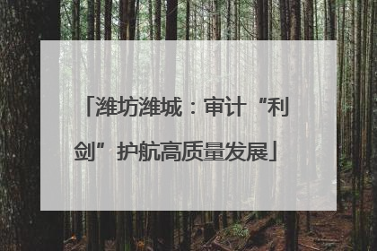 潍坊潍城：审计“利剑”护航高质量发展