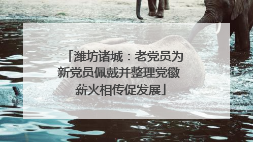 潍坊诸城：老党员为新党员佩戴并整理党徽 薪火相传促发展