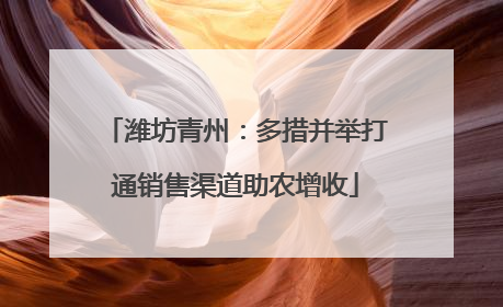 潍坊青州：多措并举打通销售渠道助农增收