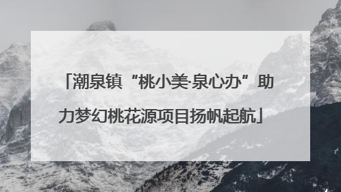 潮泉镇“桃小美·泉心办”助力梦幻桃花源项目扬帆起航