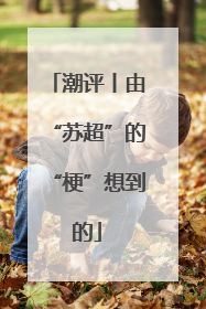 潮评丨由“苏超”的“梗”想到的