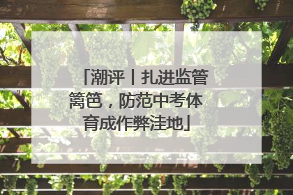 潮评丨扎进监管篱笆，防范中考体育成作弊洼地