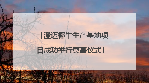 澄迈椰牛生产基地项目成功举行奠基仪式