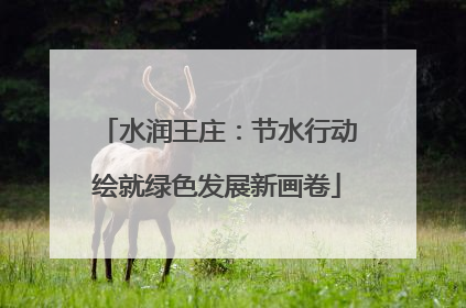 水润王庄：节水行动绘就绿色发展新画卷