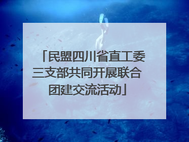 民盟四川省直工委三支部共同开展联合团建交流活动