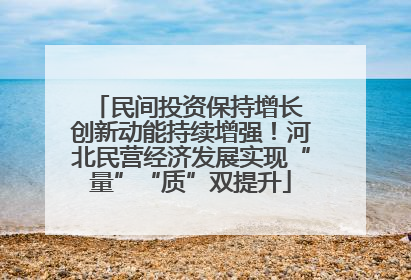 民间投资保持增长 创新动能持续增强！河北民营经济发展实现“量”“质”双提升
