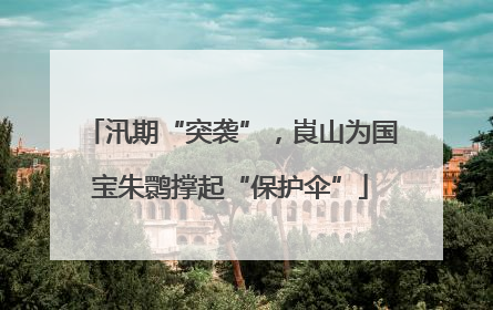 汛期“突袭”，崀山为国宝朱鹮撑起“保护伞”