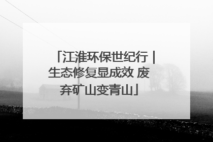 江淮环保世纪行｜生态修复显成效 废弃矿山变青山