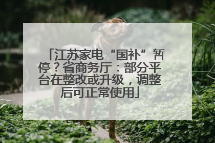 江苏家电“国补”暂停？省商务厅：部分平台在整改或升级，调整后可正常使用