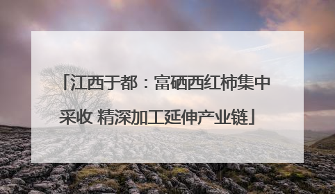 江西于都：富硒西红柿集中采收 精深加工延伸产业链