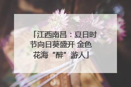 江西南昌：夏日时节向日葵盛开 金色花海“醉”游人